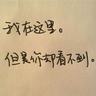 对伊战争如何暴露美国“政治撕裂”